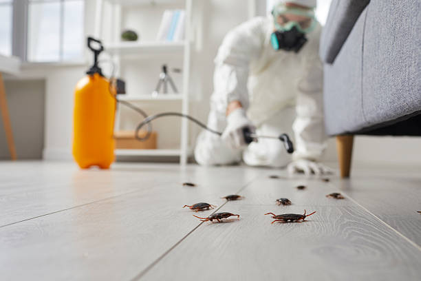 Trusted Cockroach Control service in Somerdale, NJ - Nex Pest Control