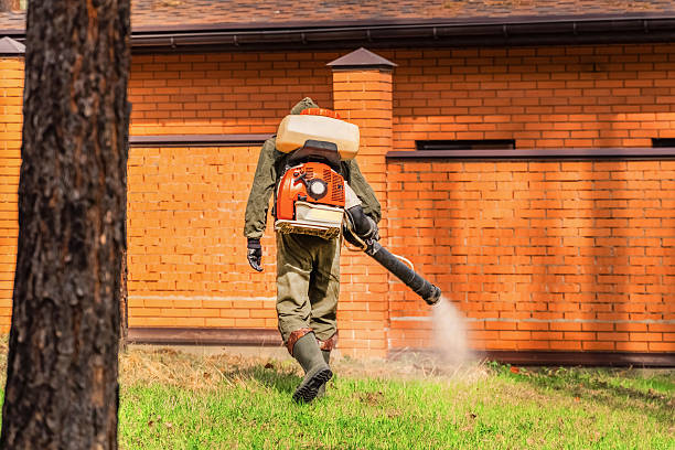 Trusted Bed Bug Control service in Somerdale, NJ - Nex Pest Control